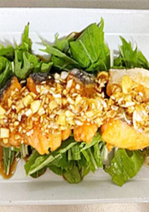 ごま油香る秋鮭のねぎ香味ダレ-レシピのメイン写真