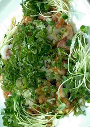 鶏のタタキ風-レシピのメイン写真