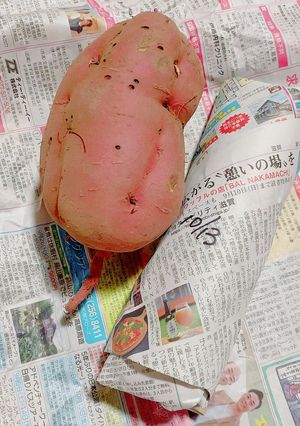 さつまいもの保存方法-レシピのメイン写真
