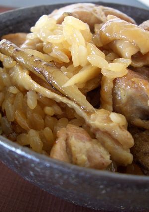 鶏ごぼうの炊き込みご飯 by わんこmama 【クックパッド】 簡単おいしい