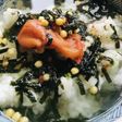 お茶漬けの素●梅干し茶漬け&梅干し茶漬け