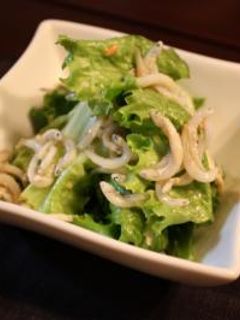 レタスの酢味噌和え-レシピのメイン写真