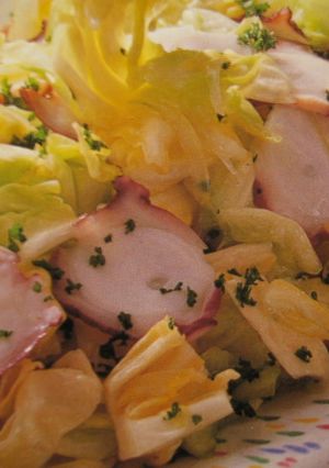 春キャベツと蛸の甘酢漬け-レシピのメイン写真