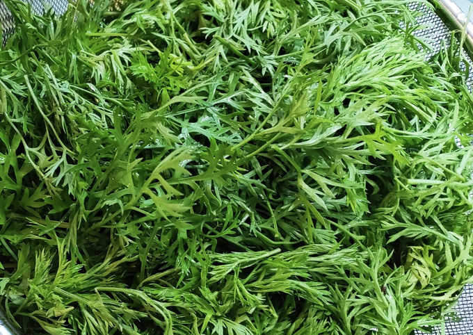 人参の葉  ¥680 人参の葉 ¥680