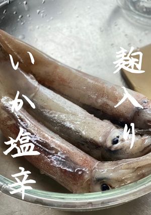 【北海道手づくり簡単イカの麹入り塩辛】-レシピのメイン写真