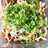 電子レンジでチン！エリンギのポン酢和え