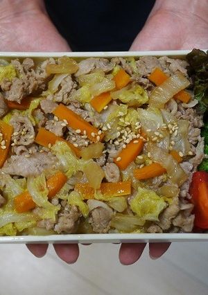 レンジ簡単★豚肉ときゃべつと人参の丼弁当-レシピのメイン写真