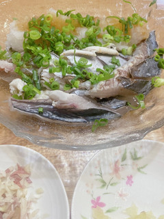 サゴシの刺身炙り焼き-レシピのメイン写真