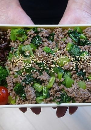 レンジで簡単★合いびき肉と小松菜の丼弁当-レシピのメイン写真