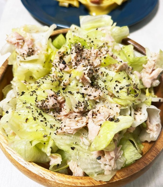 【サイン付】レタスP×鎖那 レタス畑 入荷情報]8月17日 レタスと白菜のいいとこ取り野菜「レタサイ