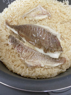 鯛めし-レシピのメイン写真