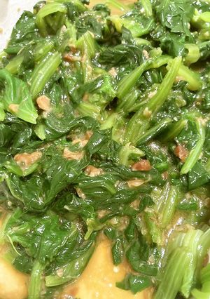 ほうれん草のしょう油麹黒酢あえ-レシピのメイン写真