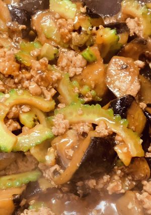 八丁味噌で大人の♪麻婆茄子ゴーヤ丼-レシピのメイン写真
