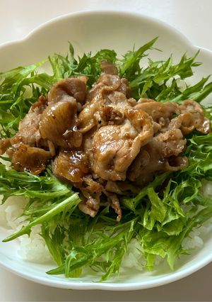 焼き豚肉丼-レシピのメイン写真