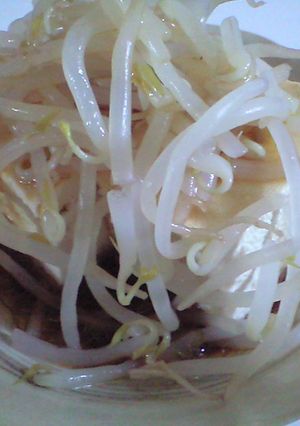 ダイエットの強い味方★冷奴のもやし添え-レシピのメイン写真