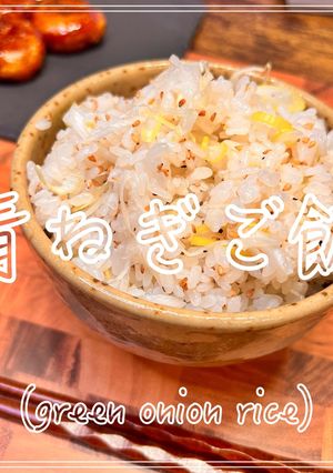 青ねぎご飯-レシピのメイン写真