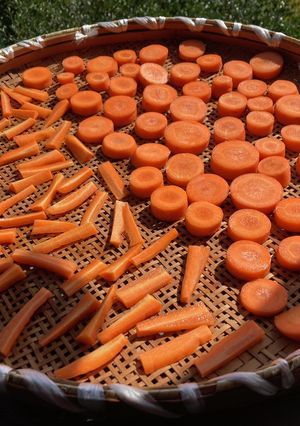 人参の干し野菜-レシピのメイン写真