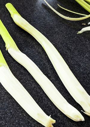 秋が旬！マコモタケの下処理方法-レシピのメイン写真