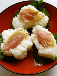 みょうが寿司-レシピのメイン写真