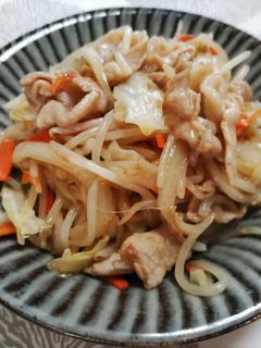 レンジで作る肉野菜炒め-レシピのメイン写真