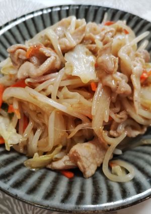 レンジで作る肉野菜炒め-レシピのメイン写真