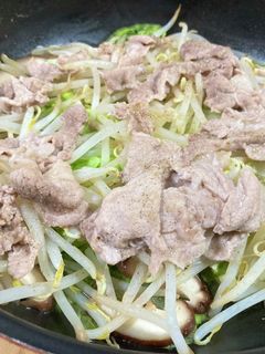 豚肉と白菜もやし炒め-レシピのメイン写真
