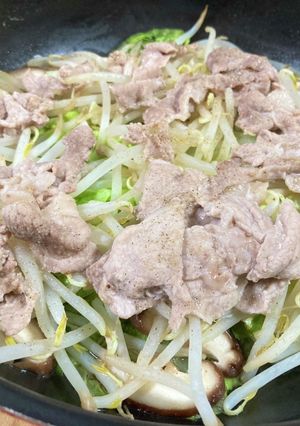 豚肉と白菜もやし炒め-レシピのメイン写真