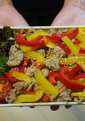 電子レンジで簡単★パプリカと豚肉の丼弁当-レシピのメイン写真