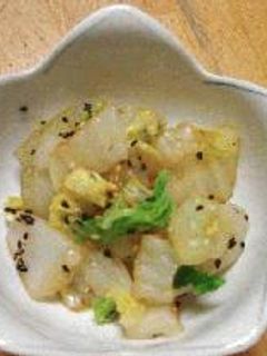 白菜のごまあえ-レシピのメイン写真