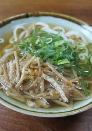 きんぴらうどん-レシピのメイン写真