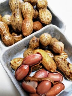 生落花生♪美味しい季節♡ゆで方から-レシピのメイン写真