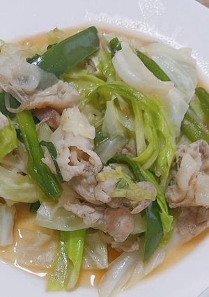 肉野菜炒め-レシピのメイン写真