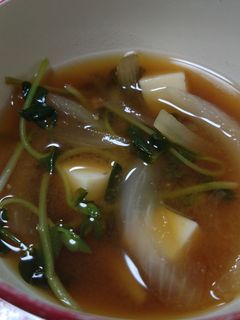 豆苗のお味噌汁-レシピのメイン写真