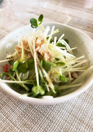 カイワレたっぷりサラダ-レシピのメイン写真