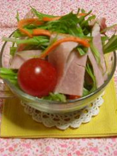 水菜のサラダ-レシピのメイン写真