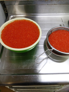 醤油イクラ丼と塩イクラそーめん-レシピのメイン写真