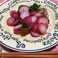 รูปของ 無農薬野菜・ラディッシュとハーブソルト
