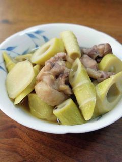 親鳥と四方竹の煮込み-レシピのメイン写真
