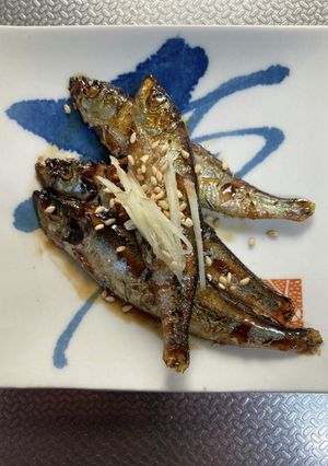 鰯の佃煮-レシピのメイン写真