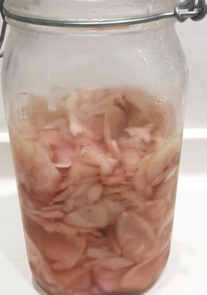新生姜の甘酢漬け-レシピのメイン写真