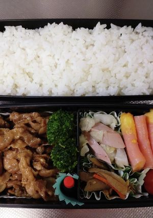 高1息子弁当　10/18　覚書102-レシピのメイン写真
