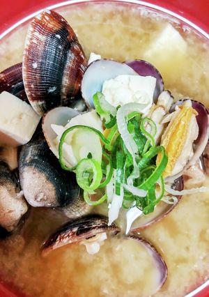 アサリの味噌汁♡豆腐入り～♪出しが旨い-レシピのメイン写真