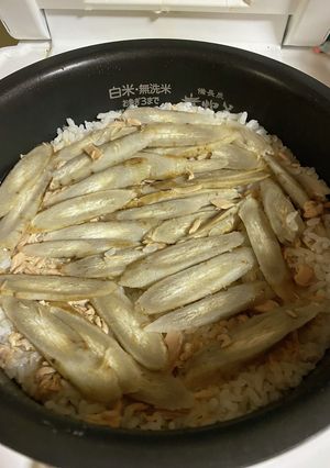 ごぼうご飯-レシピのメイン写真