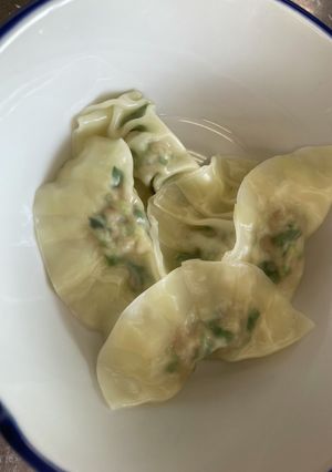 茹で餃子と焼き餃子-レシピのメイン写真