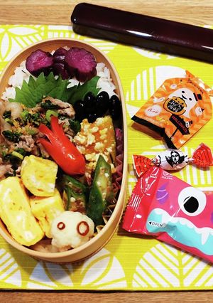 高１！男子弁当！豚こまのねぎ塩炒め　80-レシピのメイン写真