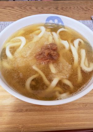 大根おろしうどん-レシピのメイン写真