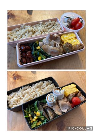 高校生男子弁当383 女子弁当78-レシピのメイン写真