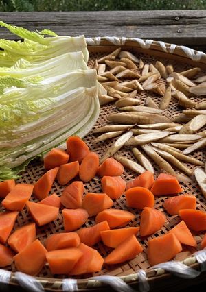 白菜、ゴボウ、人参まとめて干し野菜-レシピのメイン写真