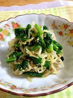 ほうれん草ともやしの和え物♪-レシピのメイン写真