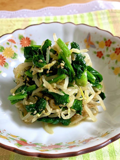 ほうれん草ともやしの和え物♪-レシピのメイン写真